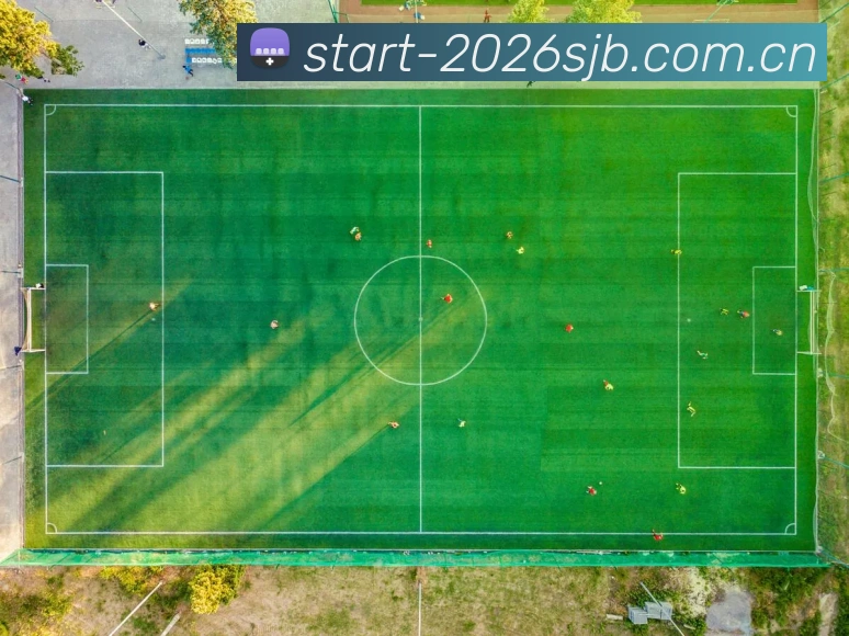 2026世界杯官方视觉